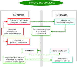 Circuito transfusional