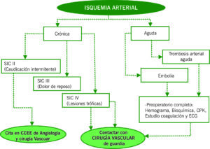 Isquemia arterial