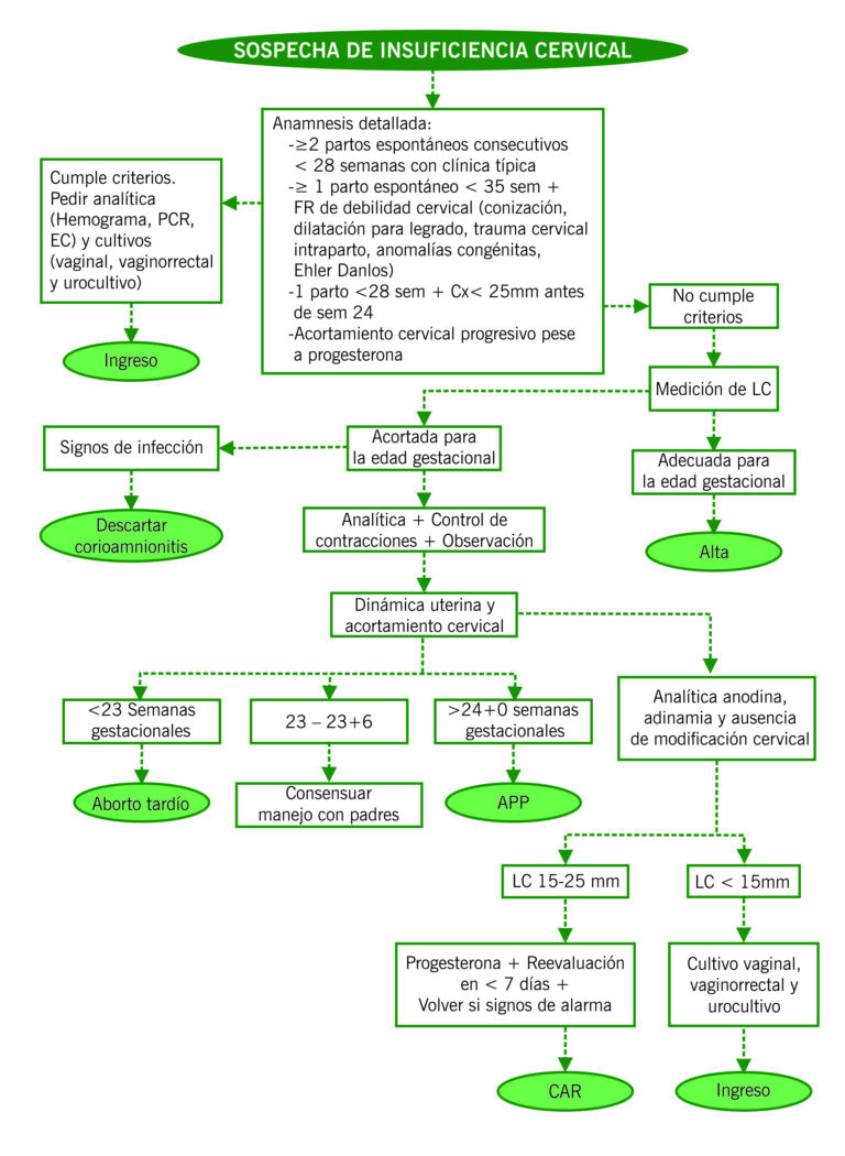 Insuficiencia Cervical - Manuales Clínicos